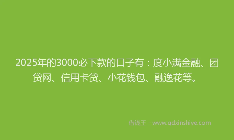 2025年的3000必下款的口子有：度小满金融、团贷网、信用卡贷、小花钱包、融逸花等。