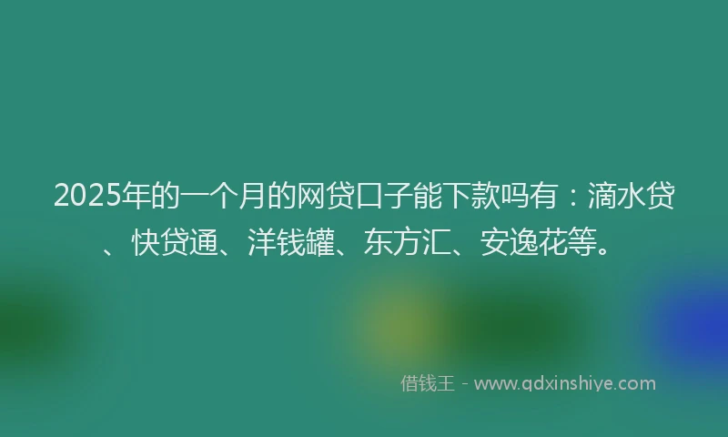 2025年的一个月的网贷口子能下款吗有：滴水贷、快贷通、洋钱罐、东方汇、安逸花等。