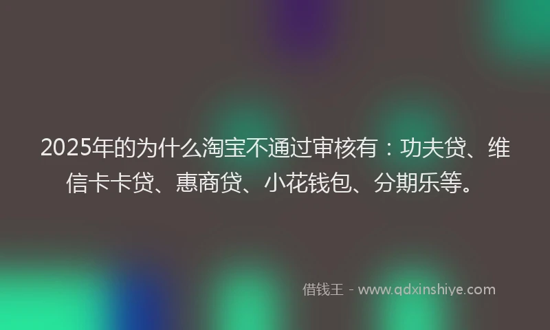 2025年的为什么淘宝不通过审核有：功夫贷、维信卡卡贷、惠商贷、小花钱包、分期乐等。