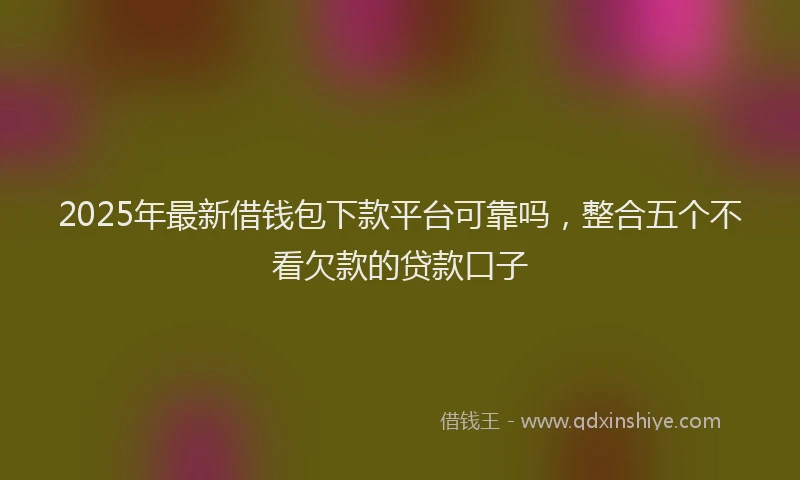 2025年最新借钱包下款平台可靠吗，整合五个不看欠款的贷款口子