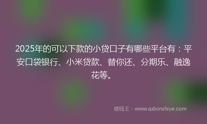2025年的可以下款的小贷口子有哪些平台有：平安口袋银行、小米贷款、替你还、分期乐、融逸花等。