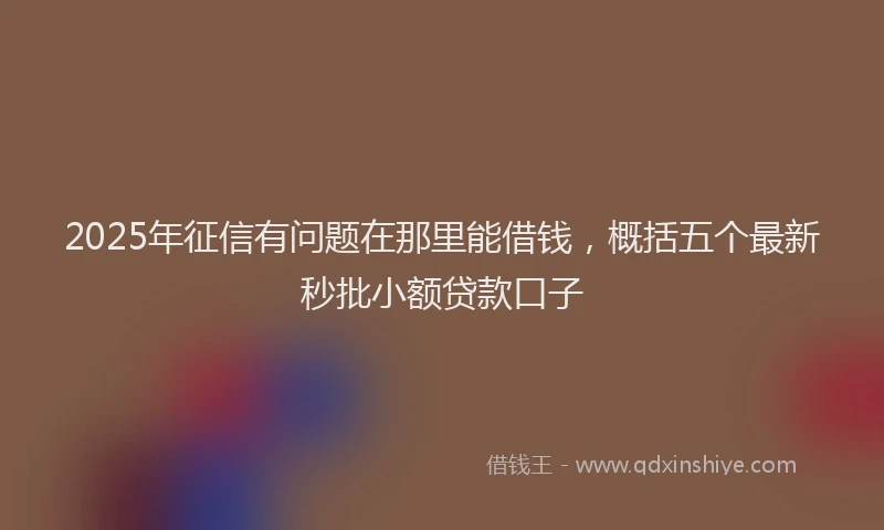 2025年征信有问题在那里能借钱，概括五个最新秒批小额贷款口子