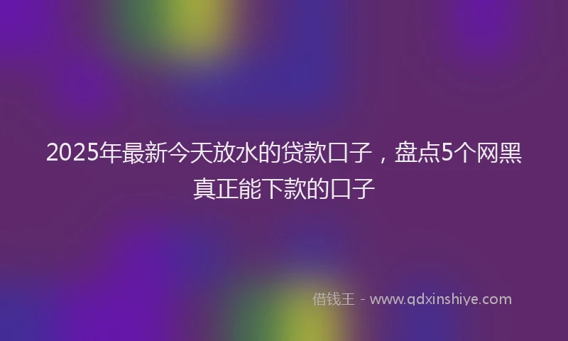 2025年最新今天放水的贷款口子，盘点5个网黑真正能下款的口子