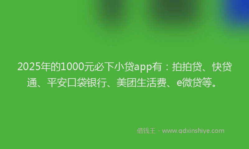 2025年的1000元必下小贷app有：拍拍贷、快贷通、平安口袋银行、美团生活费、e微贷等。