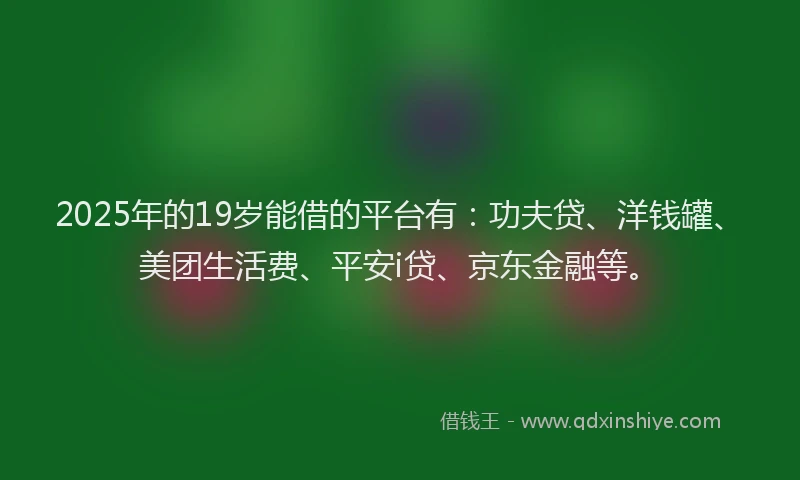 2025年的19岁能借的平台有：功夫贷、洋钱罐、美团生活费、平安i贷、京东金融等。