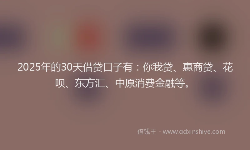 2025年的30天借贷口子有：你我贷、惠商贷、花呗、东方汇、中原消费金融等。
