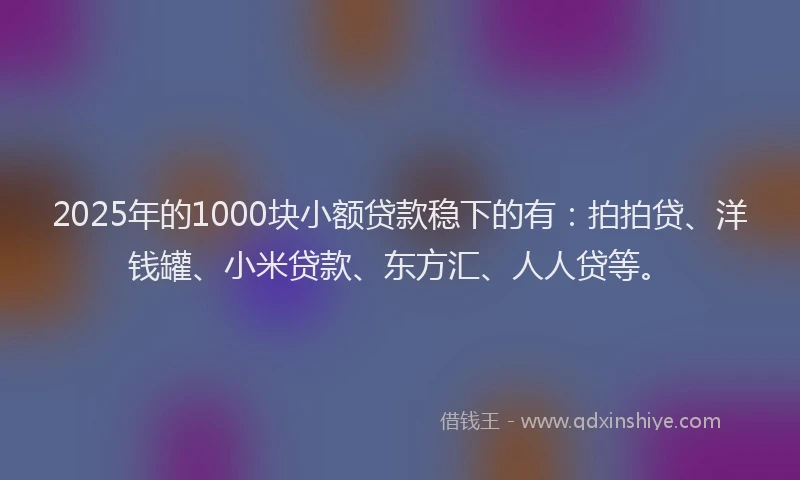 2025年的1000块小额贷款稳下的有：拍拍贷、洋钱罐、小米贷款、东方汇、人人贷等。
