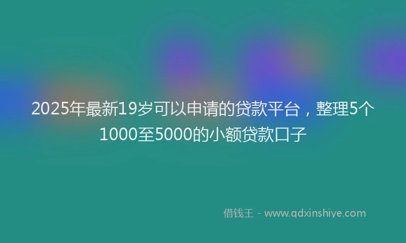 2025年最新19岁可以申请的贷款平台，整理5个1000至5000的小额贷款口子