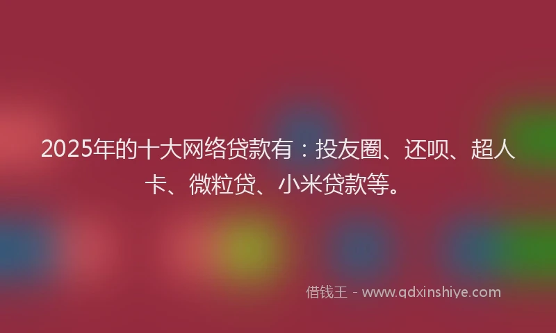 2025年的十大网络贷款有：投友圈、还呗、超人卡、微粒贷、小米贷款等。