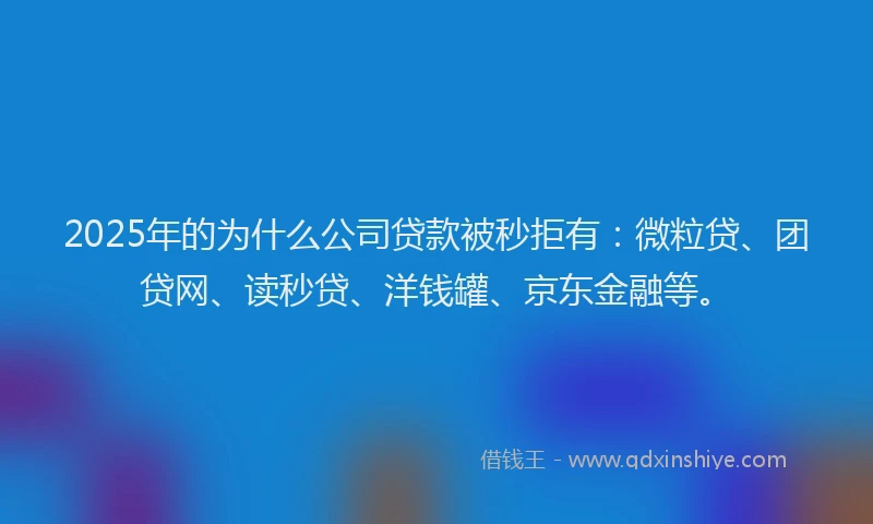 2025年的为什么公司贷款被秒拒有：微粒贷、团贷网、读秒贷、洋钱罐、京东金融等。