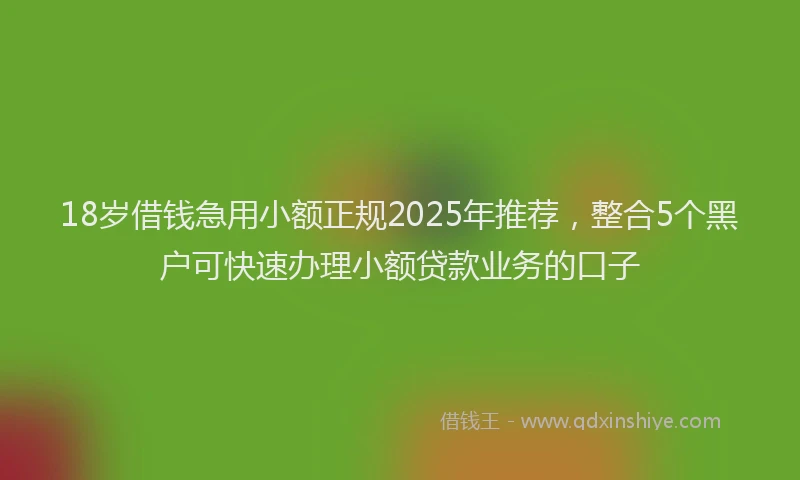 18岁借钱急用小额正规2025年推荐，整合5个黑户可快速办理小额贷款业务的口子