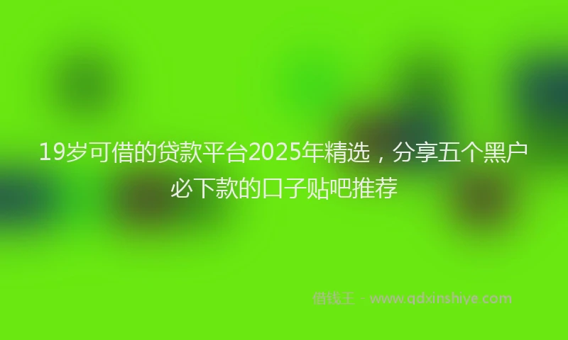 19岁可借的贷款平台2025年精选，分享五个黑户必下款的口子贴吧推荐