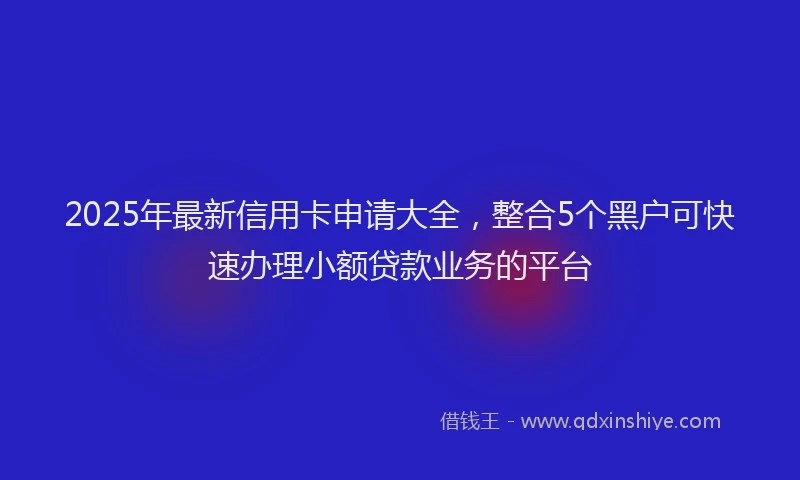 2025年最新信用卡申请大全，整合5个黑户可快速办理小额贷款业务的平台