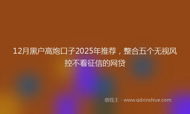12月黑户高炮口子2025年推荐，整合五个无视风控不看征信的网贷