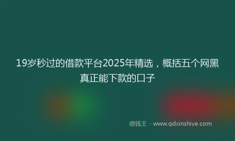 19岁秒过的借款平台2025年精选，概括五个网黑真正能下款的口子