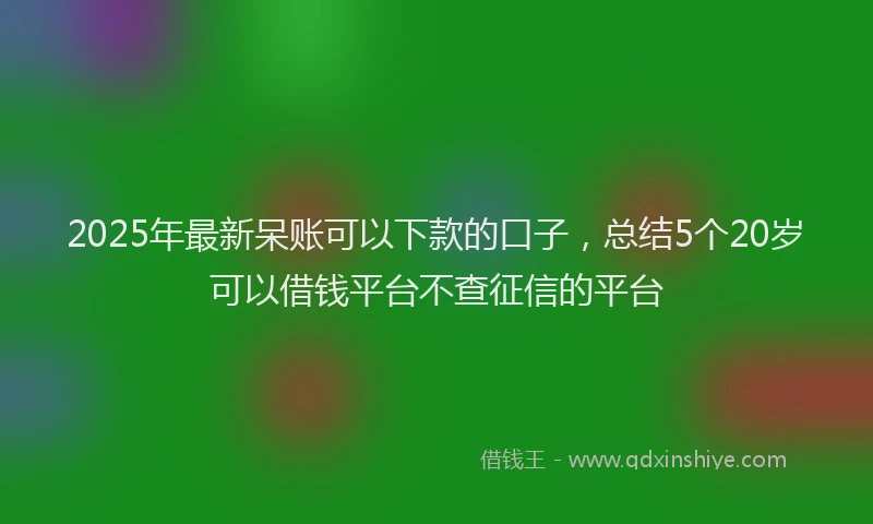 2025年最新呆账可以下款的口子，总结5个20岁可以借钱平台不查征信的平台