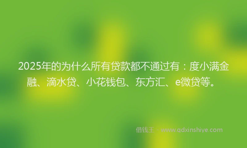 2025年的为什么所有贷款都不通过有：度小满金融、滴水贷、小花钱包、东方汇、e微贷等。
