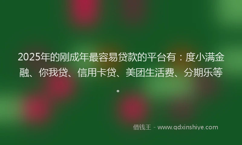 2025年的刚成年最容易贷款的平台有：度小满金融、你我贷、信用卡贷、美团生活费、分期乐等。