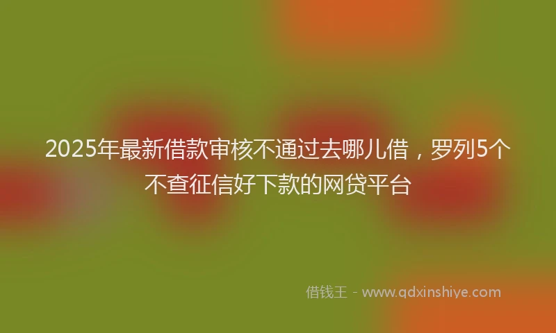 2025年最新借款审核不通过去哪儿借，罗列5个不查征信好下款的网贷平台