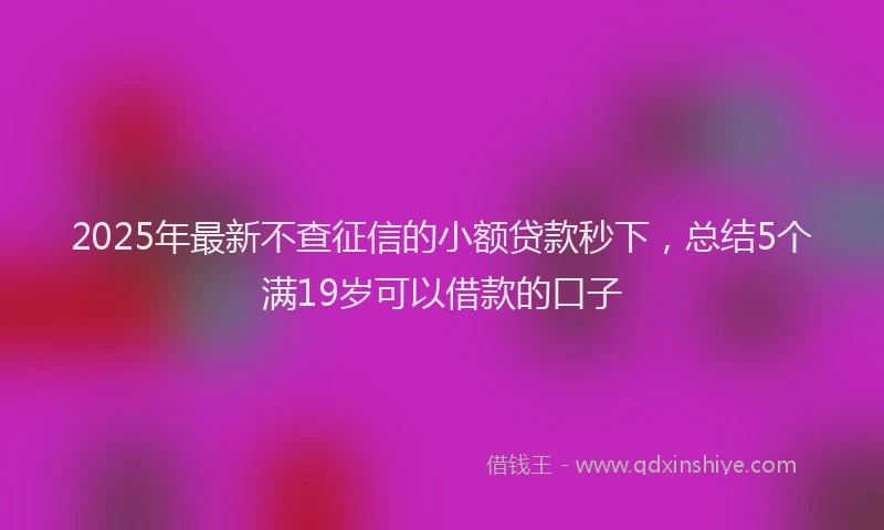 2025年最新不查征信的小额贷款秒下，总结5个满19岁可以借款的口子