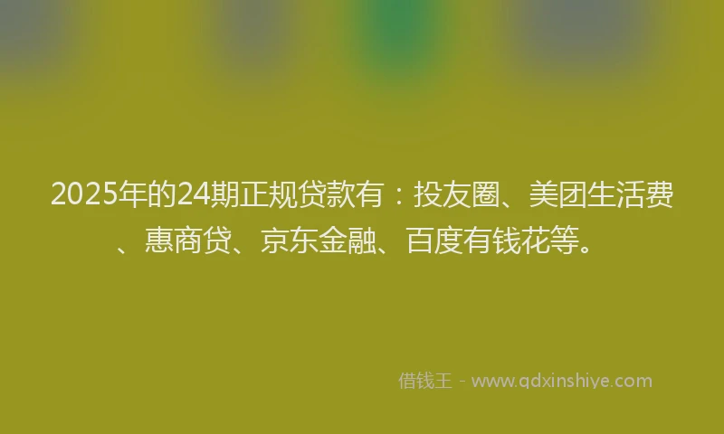 2025年的24期正规贷款有：投友圈、美团生活费、惠商贷、京东金融、百度有钱花等。