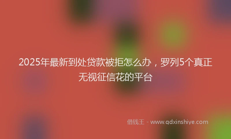 2025年最新到处贷款被拒怎么办，罗列5个真正无视征信花的平台