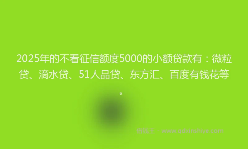 2025年的不看征信额度5000的小额贷款有：微粒贷、滴水贷、51人品贷、东方汇、百度有钱花等。