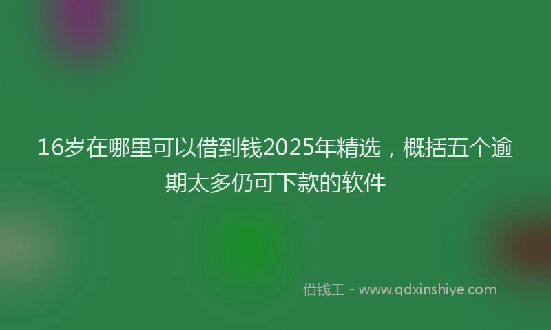 16岁在哪里可以借到钱2025年精选，概括五个逾期太多仍可下款的软件