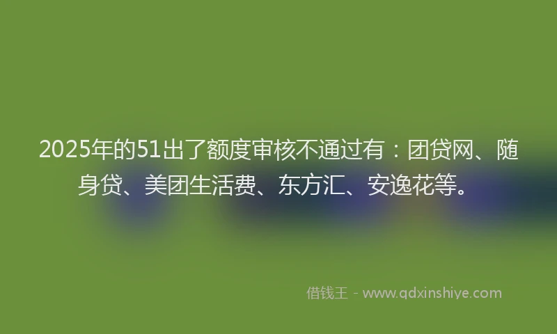 2025年的51出了额度审核不通过有：团贷网、随身贷、美团生活费、东方汇、安逸花等。