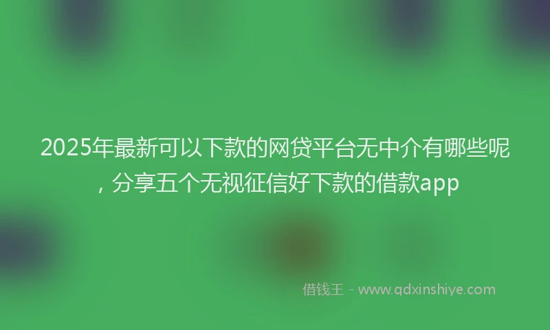 2025年最新可以下款的网贷平台无中介有哪些呢，分享五个无视征信好下款的借款app