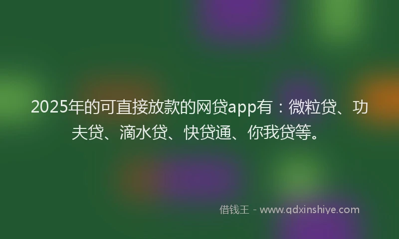 2025年的可直接放款的网贷app有：微粒贷、功夫贷、滴水贷、快贷通、你我贷等。