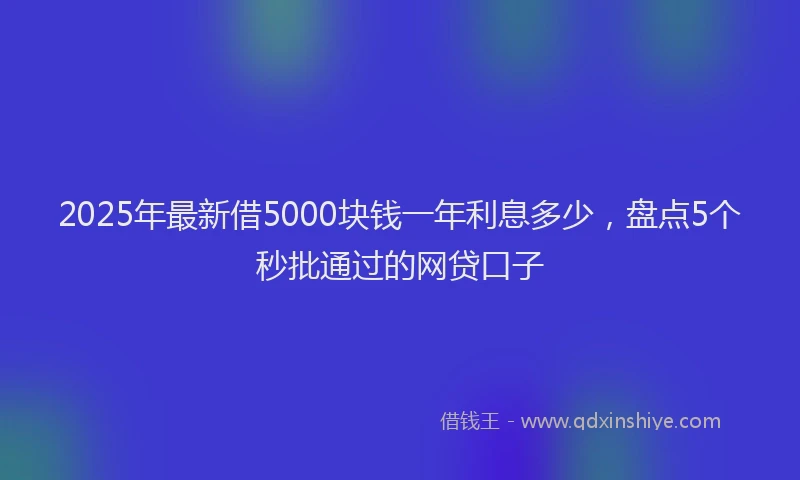 2025年最新借5000块钱一年利息多少，盘点5个秒批通过的网贷口子