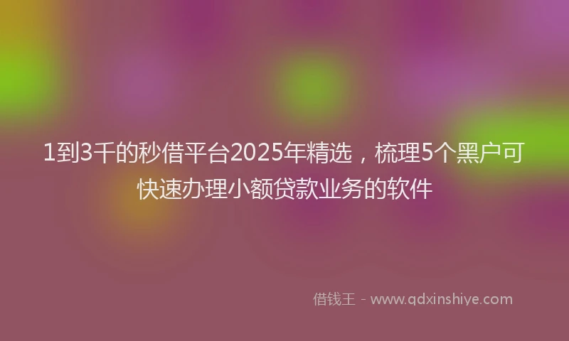 1到3千的秒借平台2025年精选，梳理5个黑户可快速办理小额贷款业务的软件