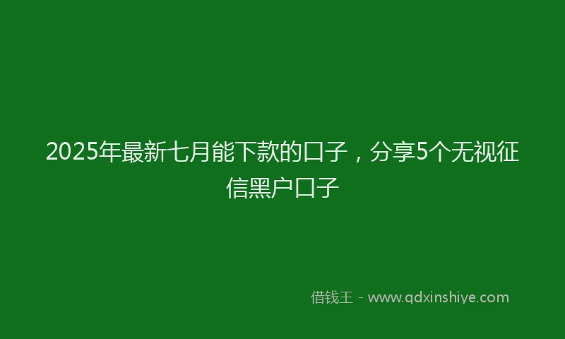 2025年最新七月能下款的口子，分享5个无视征信黑户口子