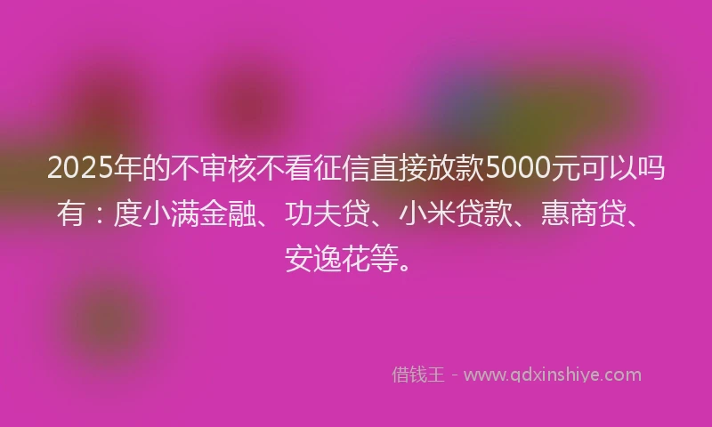 2025年的不审核不看征信直接放款5000元可以吗有：度小满金融、功夫贷、小米贷款、惠商贷、安逸花等。