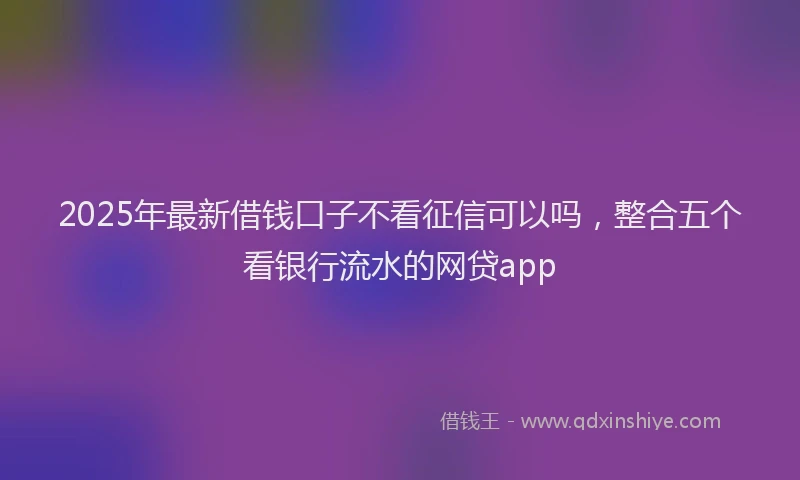 2025年最新借钱口子不看征信可以吗，整合五个看银行流水的网贷app