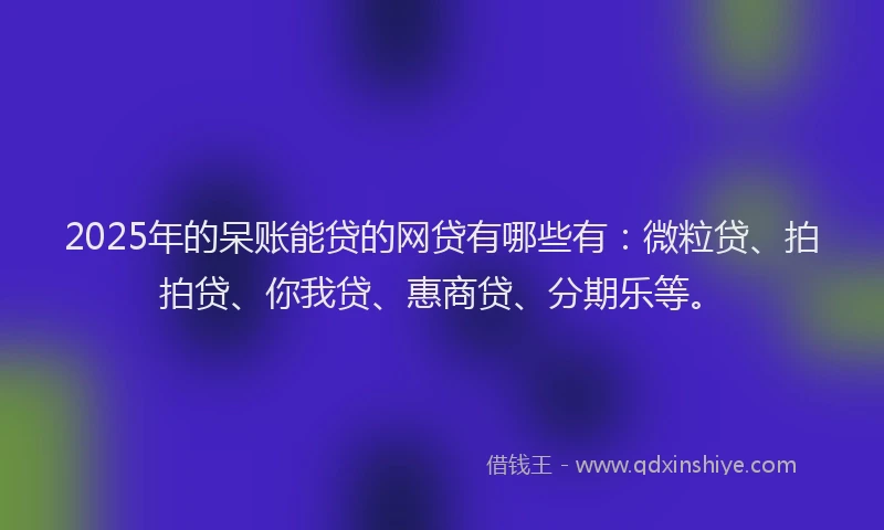 2025年的呆账能贷的网贷有哪些有：微粒贷、拍拍贷、你我贷、惠商贷、分期乐等。