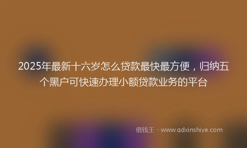 2025年最新十六岁怎么贷款最快最方便，归纳五个黑户可快速办理小额贷款业务的平台