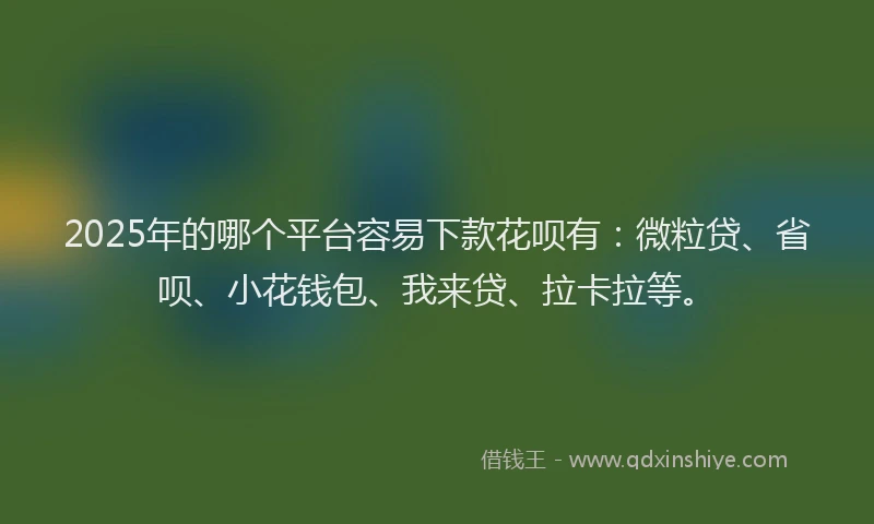 2025年的哪个平台容易下款花呗有：微粒贷、省呗、小花钱包、我来贷、拉卡拉等。