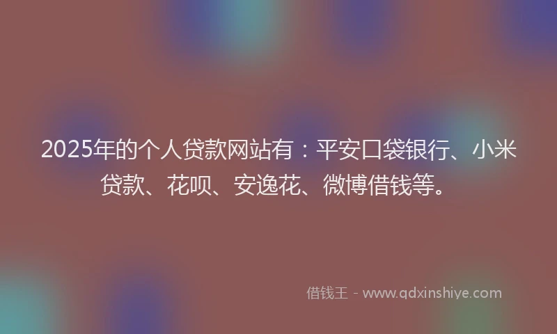 2025年的个人贷款网站有：平安口袋银行、小米贷款、花呗、安逸花、微博借钱等。