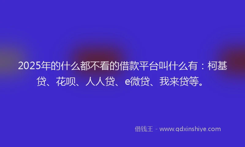 2025年的什么都不看的借款平台叫什么有：柯基贷、花呗、人人贷、e微贷、我来贷等。