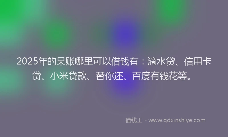 2025年的呆账哪里可以借钱有：滴水贷、信用卡贷、小米贷款、替你还、百度有钱花等。