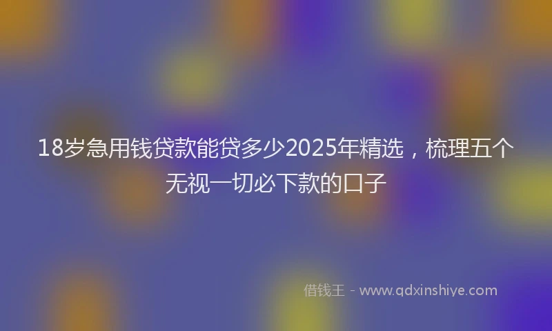 18岁急用钱贷款能贷多少2025年精选，梳理五个无视一切必下款的口子