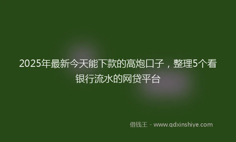 2025年最新今天能下款的高炮口子，整理5个看银行流水的网贷平台