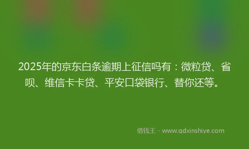 2025年的京东白条逾期上征信吗有：微粒贷、省呗、维信卡卡贷、平安口袋银行、替你还等。