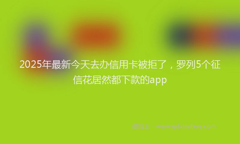 2025年最新今天去办信用卡被拒了，罗列5个征信花居然都下款的app