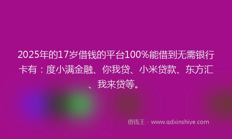 2025年的17岁借钱的平台100%能借到无需银行卡有：度小满金融、你我贷、小米贷款、东方汇、我来贷等。