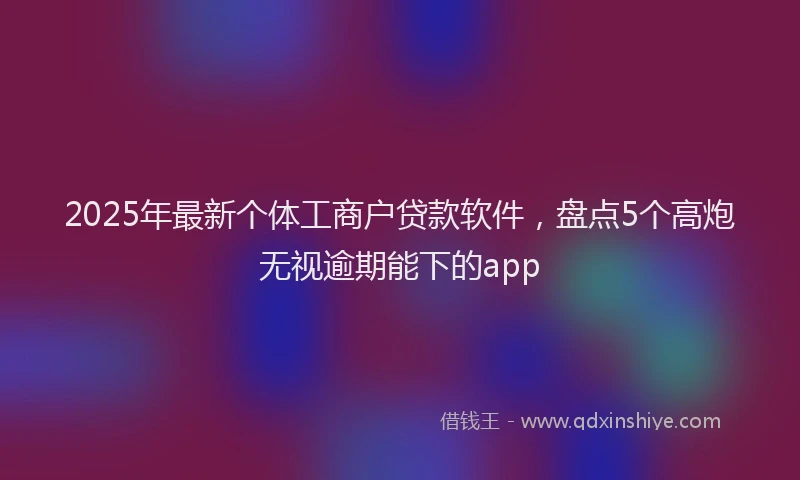 2025年最新个体工商户贷款软件，盘点5个高炮无视逾期能下的app