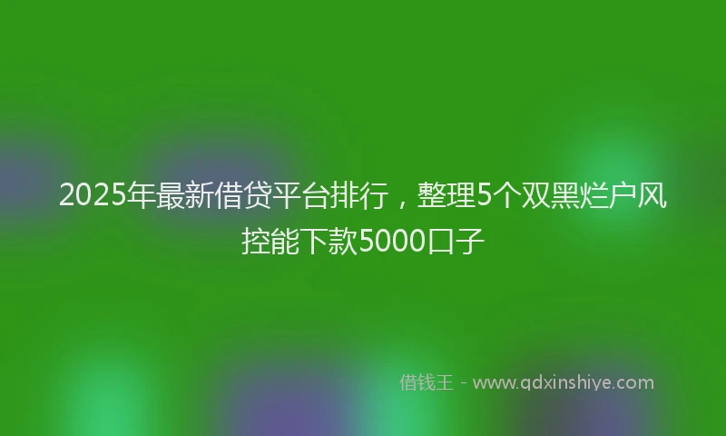 2025年最新借贷平台排行，整理5个双黑烂户风控能下款5000口子