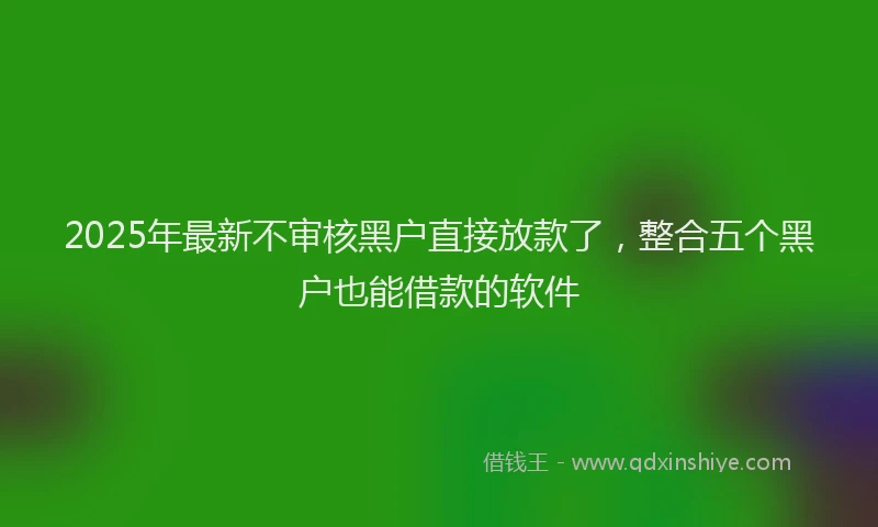 2025年最新不审核黑户直接放款了，整合五个黑户也能借款的软件